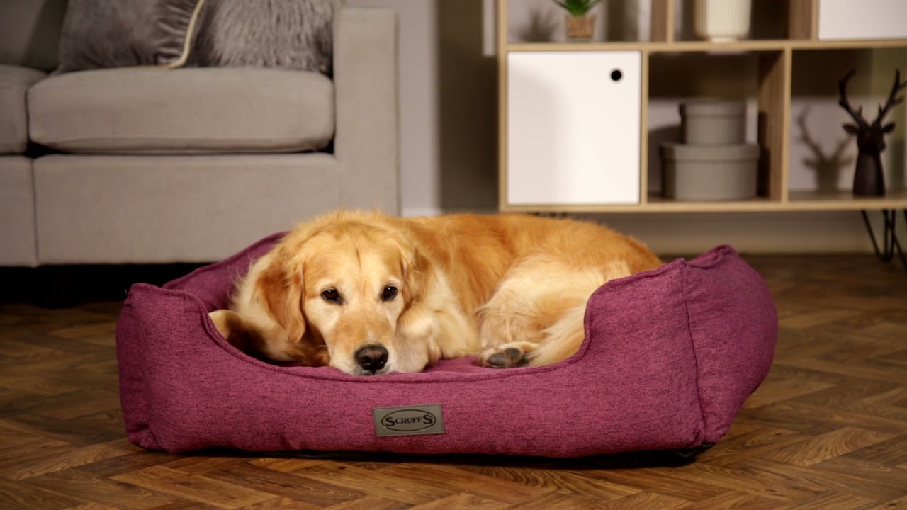 Extra large dog beds